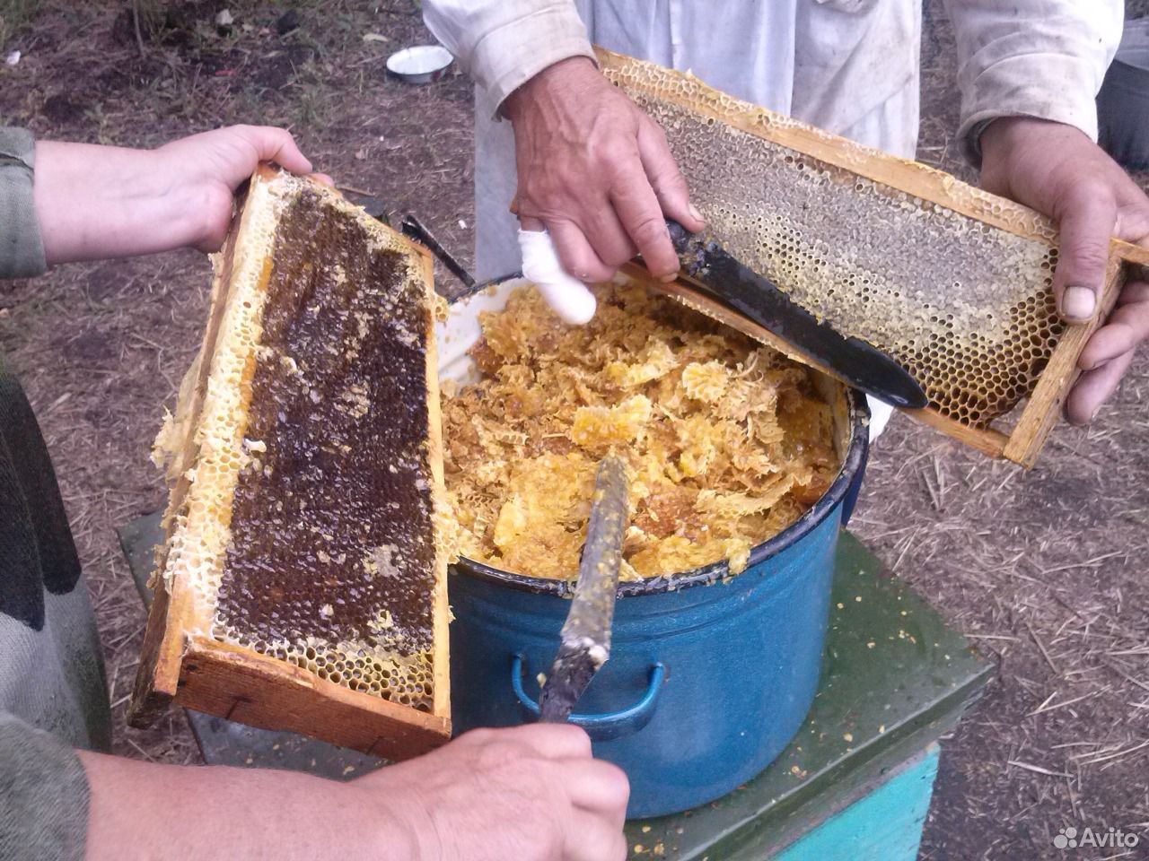 Мёд урожая 2019 со своей пасеки купить на Зозу.ру - фотография № 2