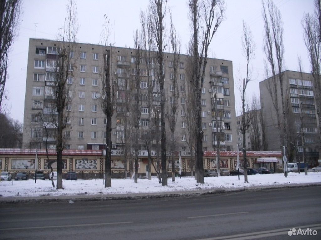 новости воронежа грамши