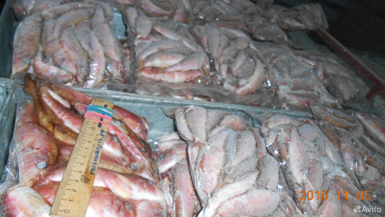 Мясо моллюска рапана оптом от производителя Керчь купить на Зозу.ру - фотография № 10