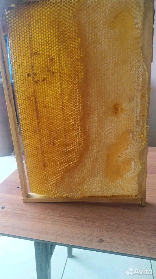 Домашний мед купить на Зозу.ру - фотография № 1