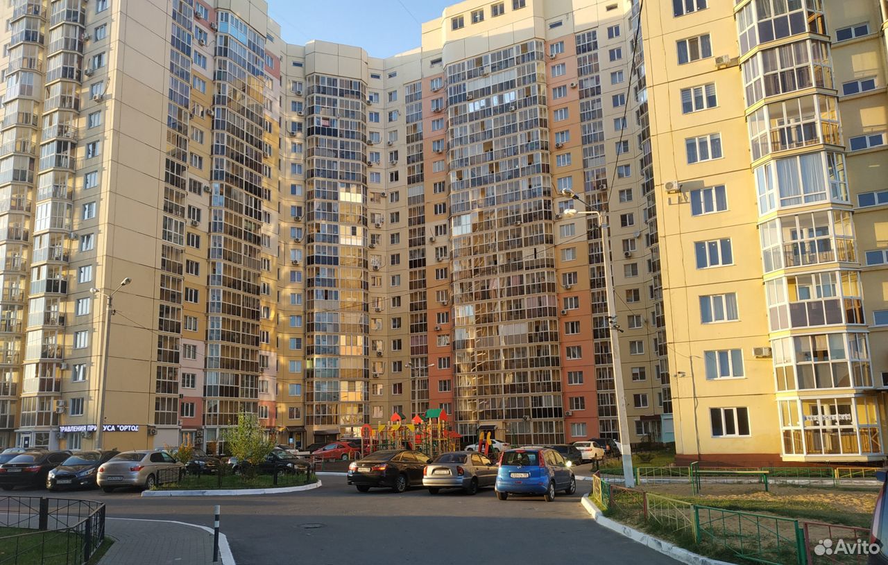 Купить Квартиру На Шишкова 142 В Воронеже