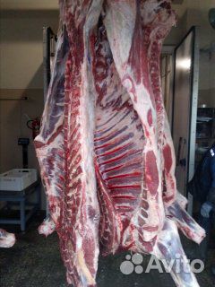 Мясо быков в полутушах купить на Зозу.ру - фотография № 3