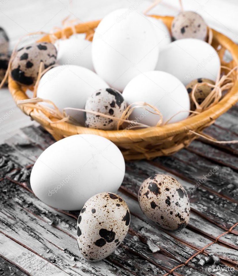 Яйца куриные/перепелиные купить на Зозу.ру - фотография № 2
