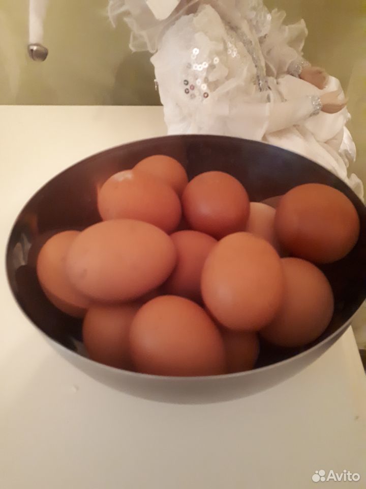 Продам яйцо куриное домашнее крупное купить на Зозу.ру - фотография № 1