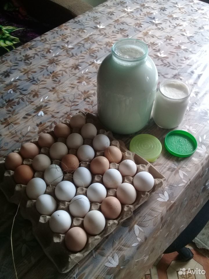 Молоко, яйца, сметана купить на Зозу.ру - фотография № 2