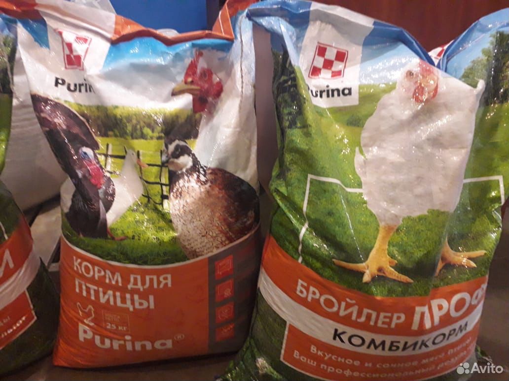 Корм Для Кур Purina Купить