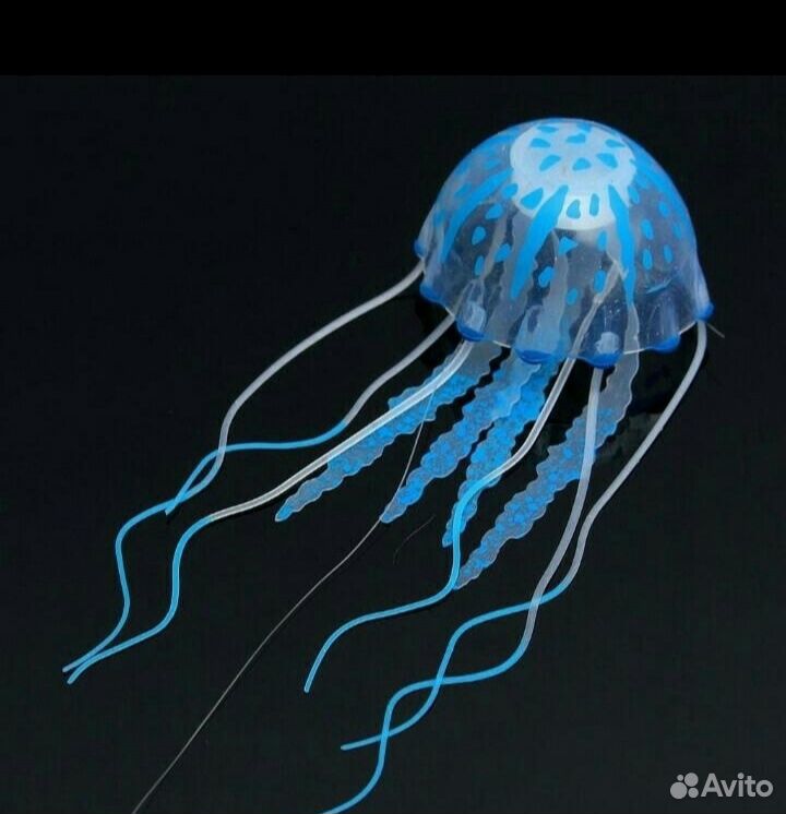 Медуза цена лайф. Силиконовая медуза. Домашние медузы. Домашняя медуза. Домашние медузы аквариумные.