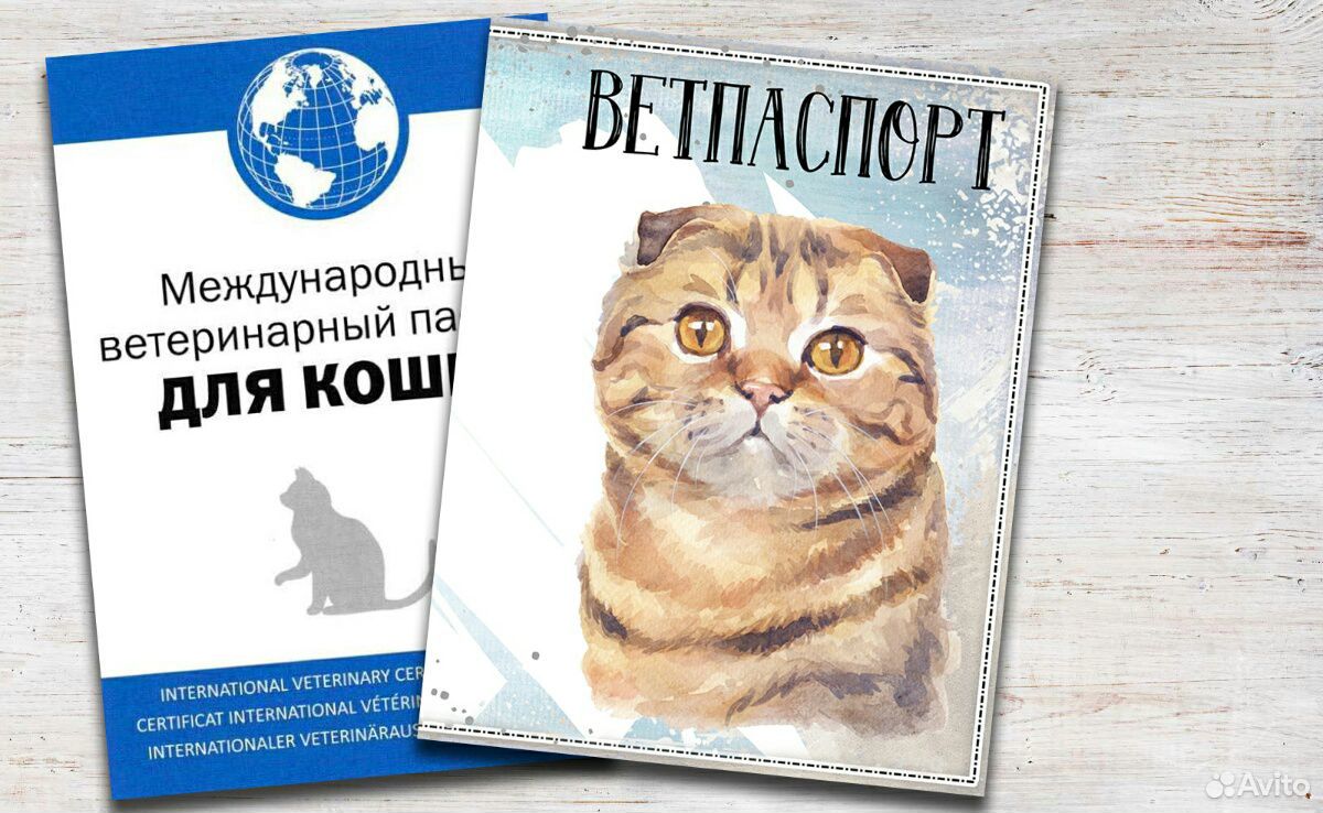 Ветеринарный паспорт купить на Зозу.ру - фотография № 2