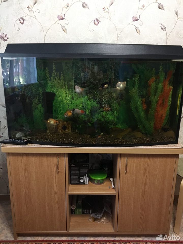 Панорамный аквариум на 200 литров купить на Зозу.ру - фотография № 2