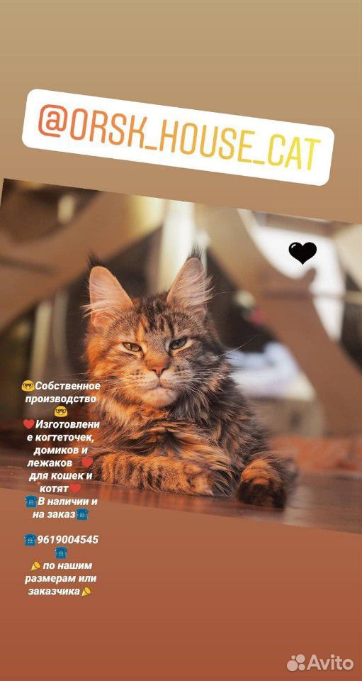 Домики для кошек купить на Зозу.ру - фотография № 1