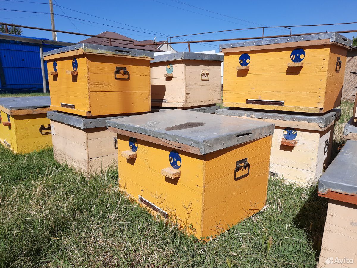 Ящики для пчел купить на Зозу.ру - фотография № 1