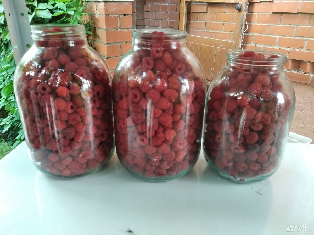 Малина ягоды купить на Зозу.ру - фотография № 1