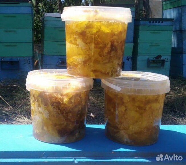 Мёд подсолнечный купить на Зозу.ру - фотография № 3