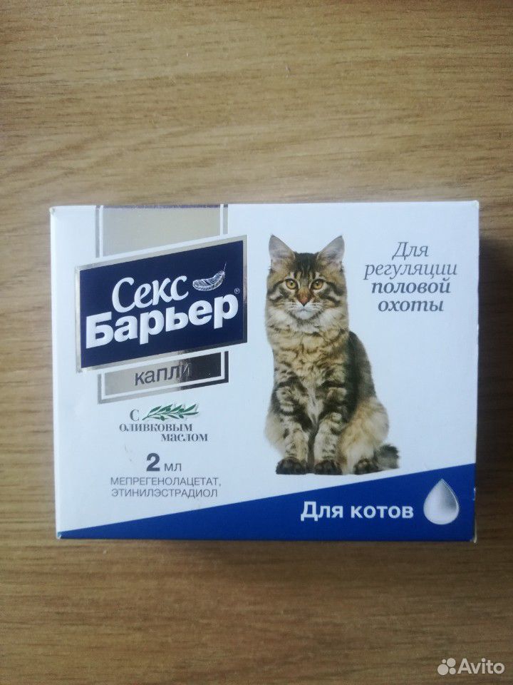 Секс барьер для котов купить на Зозу.ру - фотография № 1