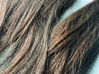 Волосы для наращивания (натуральные ) объявление продам