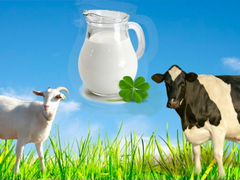 Молоко цельное коровье и козье и молочные продукты