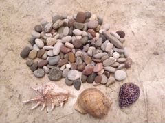 Камни и ракушки для аквариума
