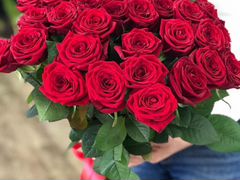 Цветы розы красные 33 шт крупные Red Intuition