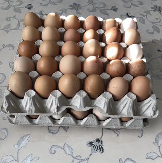 Продаются инкубационные яйца