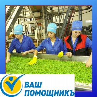 Разнорабочие на консервный завод вахта в Абинск
