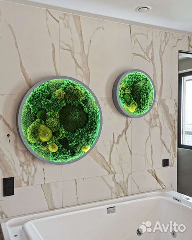 Круг их мха фитокартина фитостена