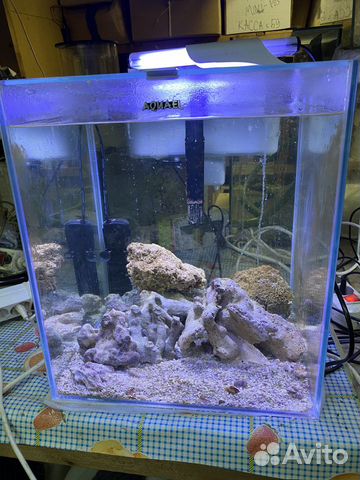 Аквариум морской aquael nano reef 49 л