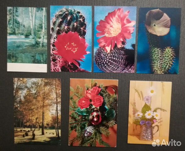 Советские открытки (чистые)