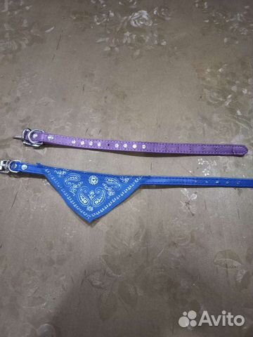 Ошейник для маленьких собак