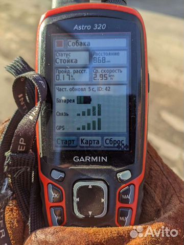 Ремонт ошейников Garmin DC30, DC40, DC50, T5, TT15