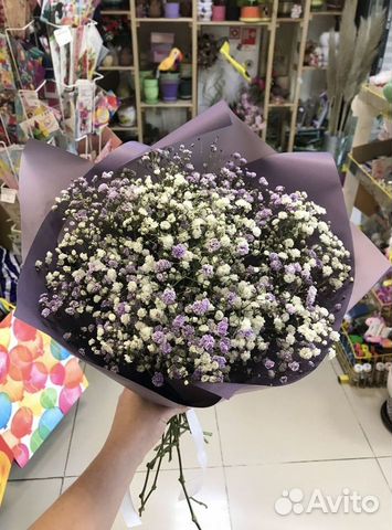 Цветы гипсофила букет