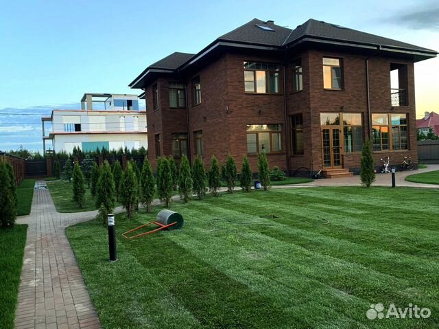 Рулонный газон 