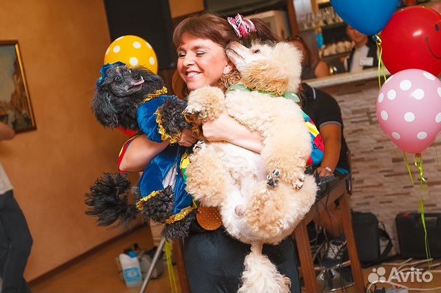 Цирковые артисты и дрессированные животные