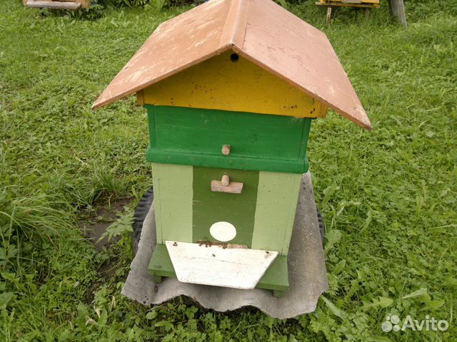 Семьи пчёл купить на Зозу.ру - фотография № 3