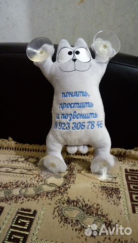 Кот Саймон в машину