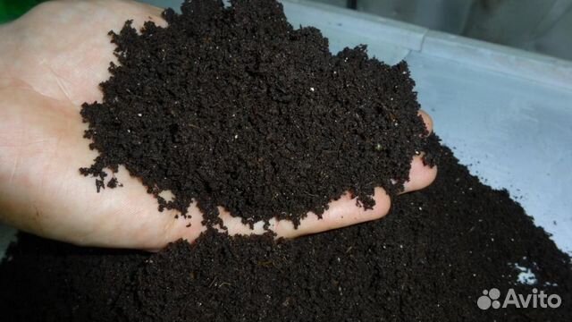 Продаем биогумус