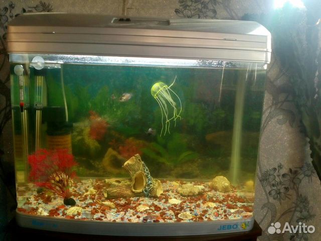 Продам аквариум Djebo купить на Зозу.ру - фотография № 1