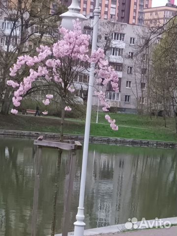 

2-к. квартира, 73,6 м², 2 кровати