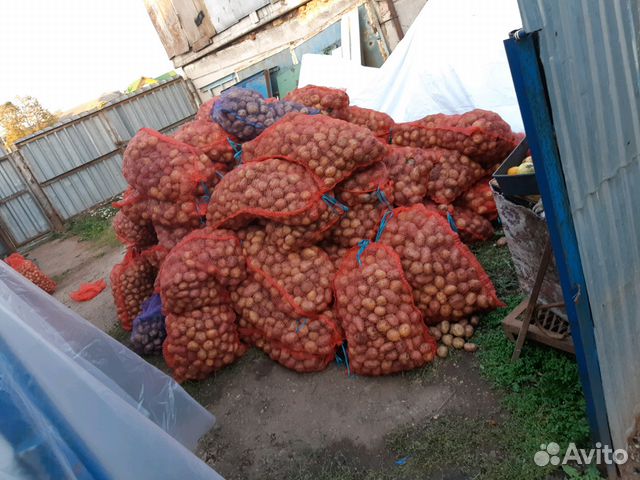 Цена На Картофель В Нижегородской Области