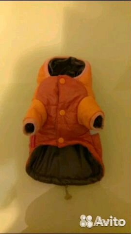 Одежда для собак