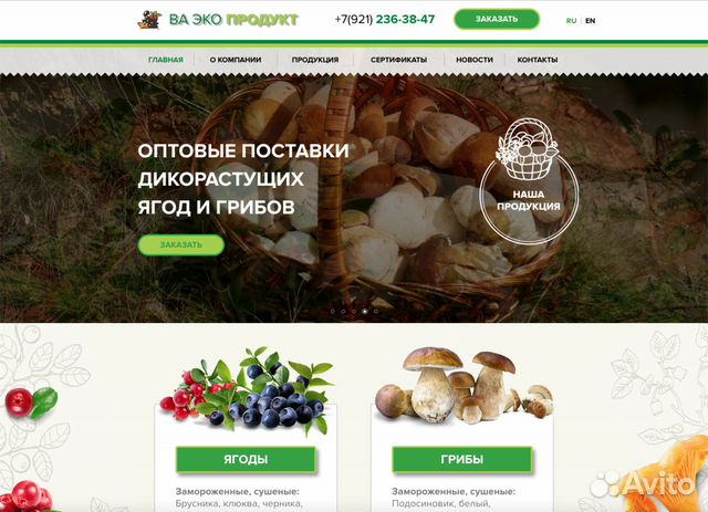 Создание сайтов. Продвижение сайтов в Сочи