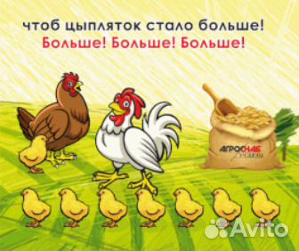 Комбикорм для кур купить на Зозу.ру - фотография № 1