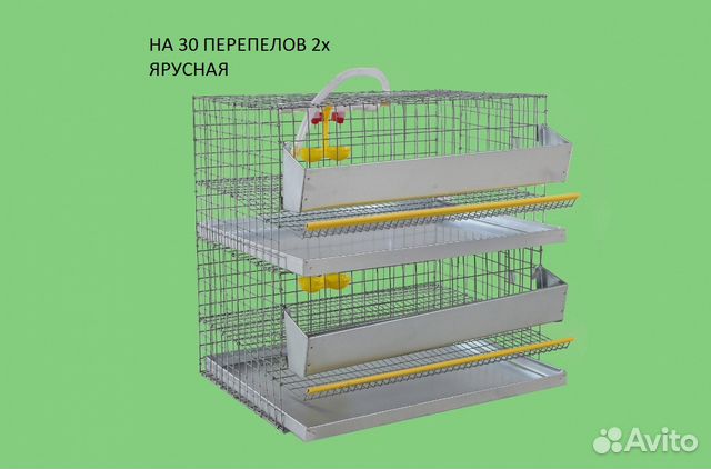 Клетки для перпелов купить на Зозу.ру - фотография № 4