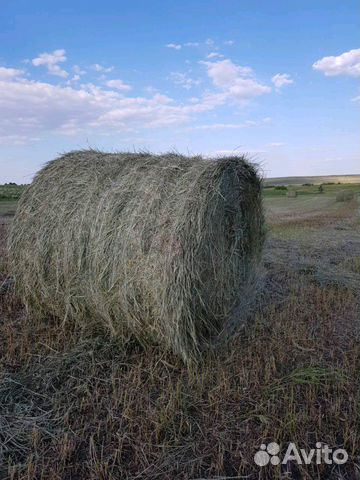 Сено луговое. Урожай 2019 г