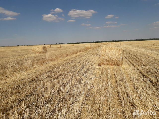 Пшеничная салома купить на Зозу.ру - фотография № 1