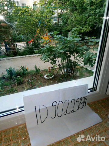 1-к квартира, 31 м², 1/5 эт.