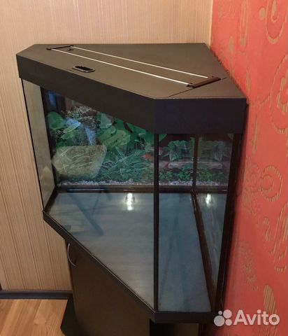 Аквариум угловой 200л., с тумбой Аквариум угловой 200л., с тумбой