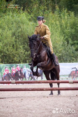 Продажа лошади купить на Зозу.ру - фотография № 2