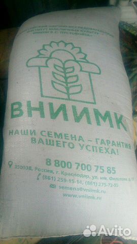 Семена маслянки 3 мишка по 30 кг купить на Зозу.ру - фотография № 1