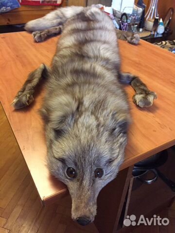 Шкура песца Шкура песца