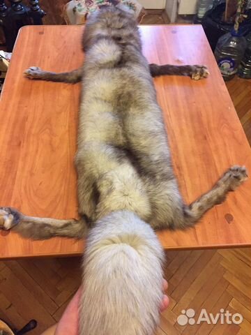 Шкура песца Шкура песца